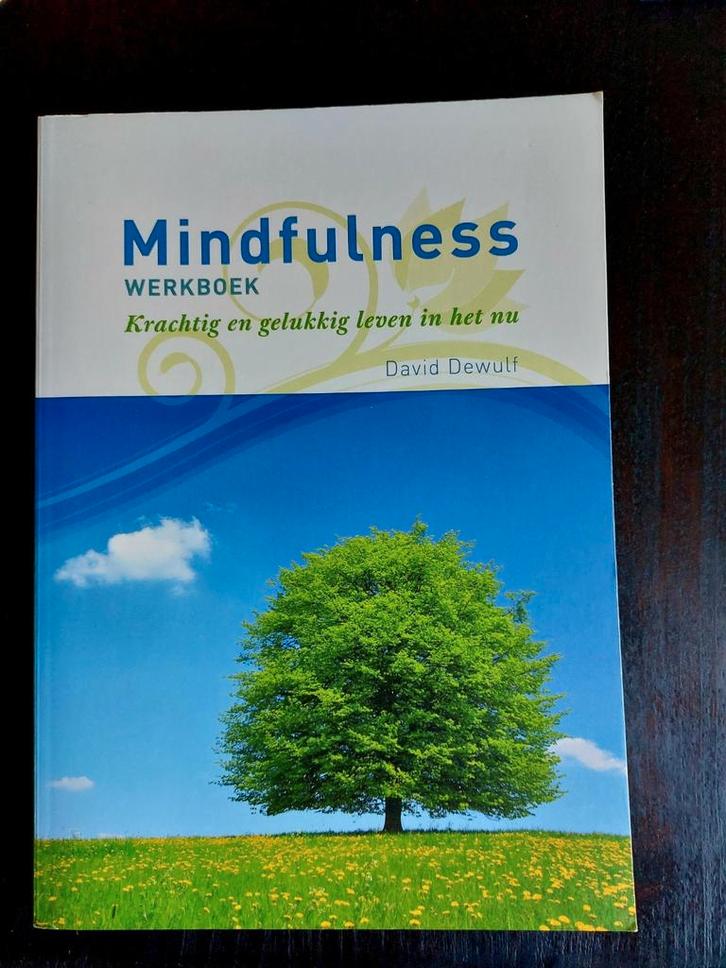 O.a. Mindfulness werkboek én CD rom, David Dewulf, Livres, Science, Comme neuf, Enlèvement