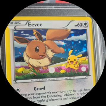 Varia aan Pokémon items beschikbaar voor biedingen