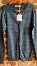 Glittervestje - maat 152 - merk Someone, Kinderen en Baby's, Kinderkleding | Maat 152, Meisje, Trui of Vest, Ophalen of Verzenden