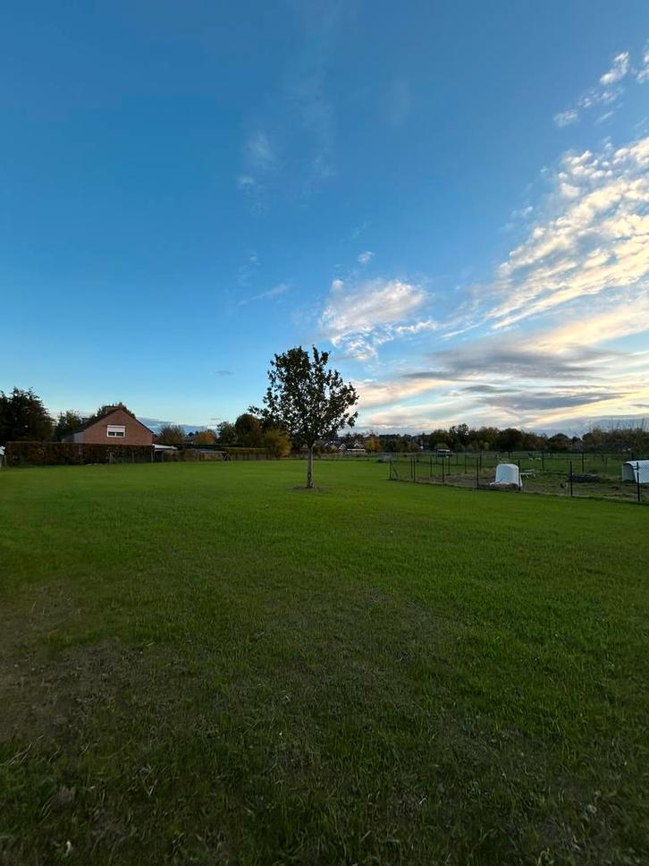 Semer de l'herbe — Prairies et pelouses, Animaux & Accessoires, Box & Pâturages