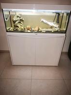 Aquarium Aqualantis 180 litres avec filtre externe et chauff, Enlèvement