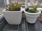 2 pots en grès avec plantes, Tuin en Terras, Bloembakken en Plantenbakken, Ophalen, Zo goed als nieuw