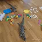 Teju, Animaux & Accessoires