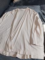 Crèmkleurig jasje merk Mayerline te koop. Maat L, Kleding | Dames, Truien en Vesten, Ophalen, Zo goed als nieuw, Maat 42/44 (L)