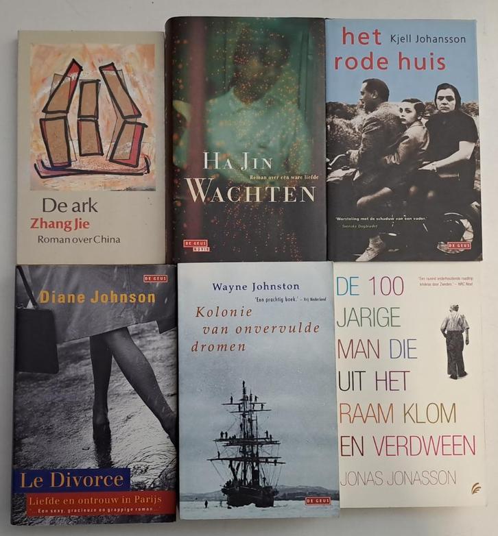 Romans & Literatuur (8), Boeken, Literatuur, Gelezen, Amerika, Ophalen of Verzenden