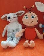Slappe knuffels, 30cm., Ophalen of Verzenden, Zo goed als nieuw, Konijn