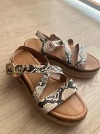 Sandalen met dierenprint maat 39, Ophalen of Verzenden, Gedragen, Sandalen of Muiltjes