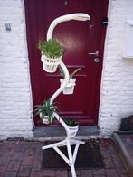 Support en rotin pour plantes, Enlèvement, Utilisé, Intérieur