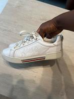 Tommy Hilfiger schoenen maat 38 - Aalst, Kleding | Dames, Schoenen, Tommy hilfiger, Ophalen, Gedragen