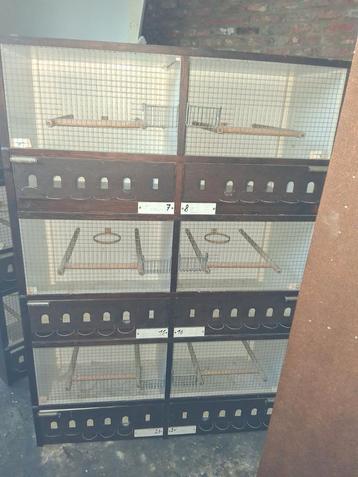 4 mooi grote vogelkooien (A) beschikbaar voor biedingen
