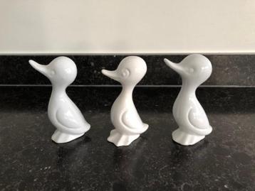 Eendjes / 3 stuks beschikbaar voor biedingen
