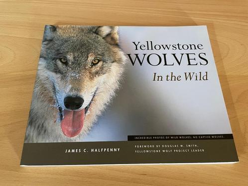 3=2 ACTIE James Halfpenny Wolves of Yellowstone Wolf, Livres, Animaux & Animaux domestiques, Neuf, Envoi