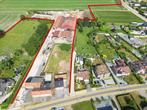 Unieke Hoeve, landgebouwen met aangrenzende landbouwgronden, Provincie Limburg, Woning met bedrijfsruimte, 1500 m² of meer, Wellen