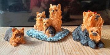 Leuke verzameling van 21 beeldjes - Yorkshire Terrier beschikbaar voor biedingen