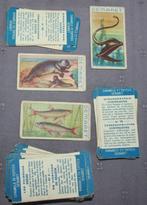 Prenten Jacques, COOP, ELVEA, Cowboys, Cote D'Or, varia, Ophalen of Verzenden, Nieuw, Overige onderwerpen, Prent