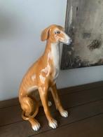 Favaro Checchetta ceremica greyhound, Enlèvement