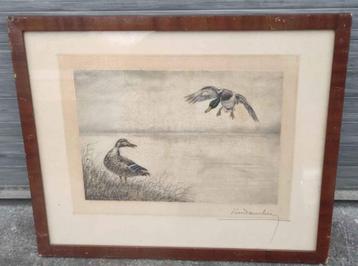 Gravure canard signe Léon danchin beschikbaar voor biedingen