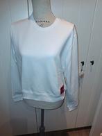 Sweater Calvin Klein maat M, Kleding | Dames, Ophalen of Verzenden, Zo goed als nieuw, Maat 38/40 (M), Wit