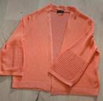 Zo goed als nieuwe cardigan., Kleding | Dames, Truien en Vesten, Verzenden