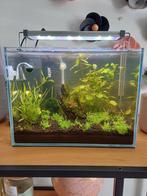 Nano aquarium (13L) met alle toebehoren, Dieren en Toebehoren, Ophalen