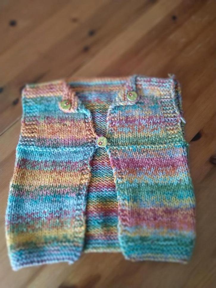 truitje - ongeveer 3/4 jaar, Kinderen en Baby's, Kinderkleding | Maat 104, Zo goed als nieuw, Jongen of Meisje, Trui of Vest, Ophalen of Verzenden