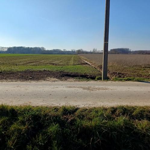 landbouwgrond ( Herent/ Winksele-Delle), Immo, Gronden en Bouwgronden, 1500 m² of meer