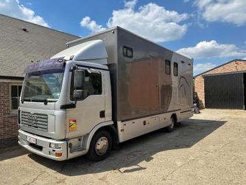 MAN Paardenvrachtwagen, MAN, Particulier, 2 zetels, 2 deurs