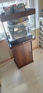 Warm water aquarium met enkele toebehoren, Dieren en Toebehoren, Vissen | Aquaria en Toebehoren, Ophalen, Gebruikt, Leeg aquarium