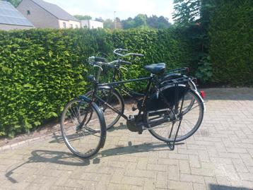 Pointer Dames en heren fiets 