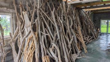Drijfhout - Driftwood beschikbaar voor biedingen
