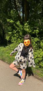 Blazer d'été Bóboli, Enlèvement