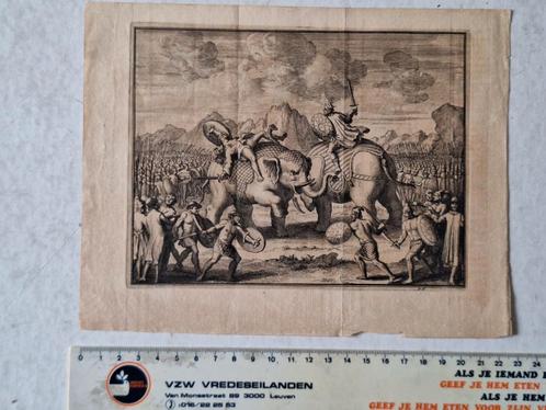 18de eeuwse gravure Twee olifanten in gevecht uit 1727, Antiek en Kunst, Kunst | Etsen en Gravures, Ophalen of Verzenden