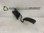 Gaspedaal Renault Clio 3 1.5 dci ORIGINEEL 8200297342, Auto-onderdelen, Gebruikt, Renault, Ophalen of Verzenden, Renault