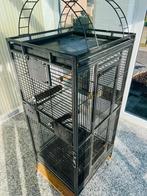 Vogelkooi, Enlèvement, Utilisé, Métal, Cage à oiseaux