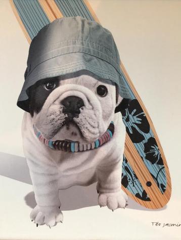 Bulldog Téo Jasmin frame  beschikbaar voor biedingen