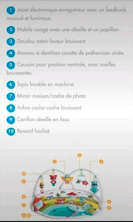 Tapis d'éveil Tiny Love "Dans la prairie", Enfants & Bébés, Jouets | Jouets de bébé, Comme neuf, Autres types, Avec lumière, Sonore