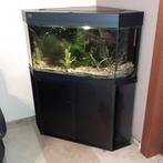 Aquarium Hoekaquarium Juwel 150L, Dieren en Toebehoren, Ophalen, Gebruikt, Leeg aquarium