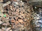 Droog Brandhout, Tuin en Terras, Brandhout, 6 m³ of meer, Ophalen, Eikenhout, Blokken