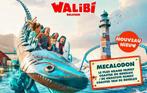 Walibi Belgium Tickets, Tickets en Kaartjes, Recreatie | Pretparken en Attractieparken, Ticket of Toegangskaart