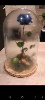 Grande rose éternelle, Ophalen, Gebruikt