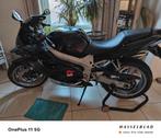 Triomf, Motoren, 4 cilinders, 600 cc, Sport, Particulier