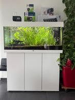 Aquarium Juwel Rio 180 LED + meuble et accessoires, Dieren en Toebehoren, Ophalen, Gebruikt, Gevuld zoetwateraquarium