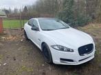 jaguar xf, Autos, Jaguar, XF, Achat, Entreprise