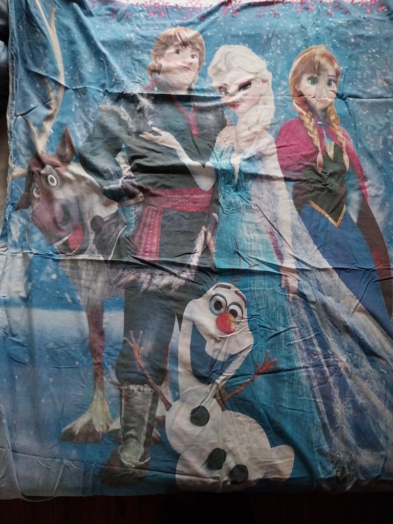 Donsovertrek / dekbedovertrek 1 persoon frozen, Garçon ou Fille, Housse de couette, Enlèvement, Utilisé