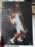 Roger Federer - Wimbledon wandschilderij, Enlèvement