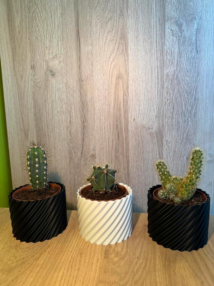 Kleine Bloempotten, Tuin en Terras, Bloempotten, Nieuw, Overige materialen, Binnen, Minder dan 40 cm, Minder dan 25 cm, Rond, Ophalen