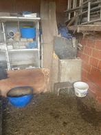 Vend clapier lapins en béton, Enlèvement, Utilisé, Soins