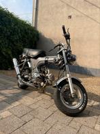 Dax 50 cc B-Klasse, Fietsen en Brommers, Brommers | Honda, Ophalen, Gebruikt, Overige modellen, Klasse B (45 km/u)