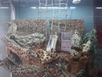 volledig terrarium (plug and play), Dieren en Toebehoren, Ophalen, Gebruikt, Terrarium of Paludarium