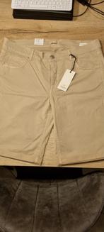 Damesshort angels, Beige, Maat 42/44 (L), Nieuw, Ophalen of Verzenden